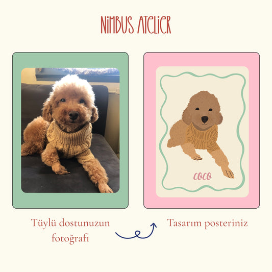 Dalga Kenarlı Evcil Hayvan Posteri